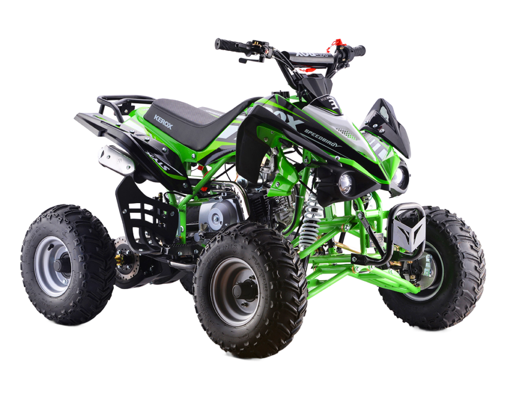 Quad Speedbird